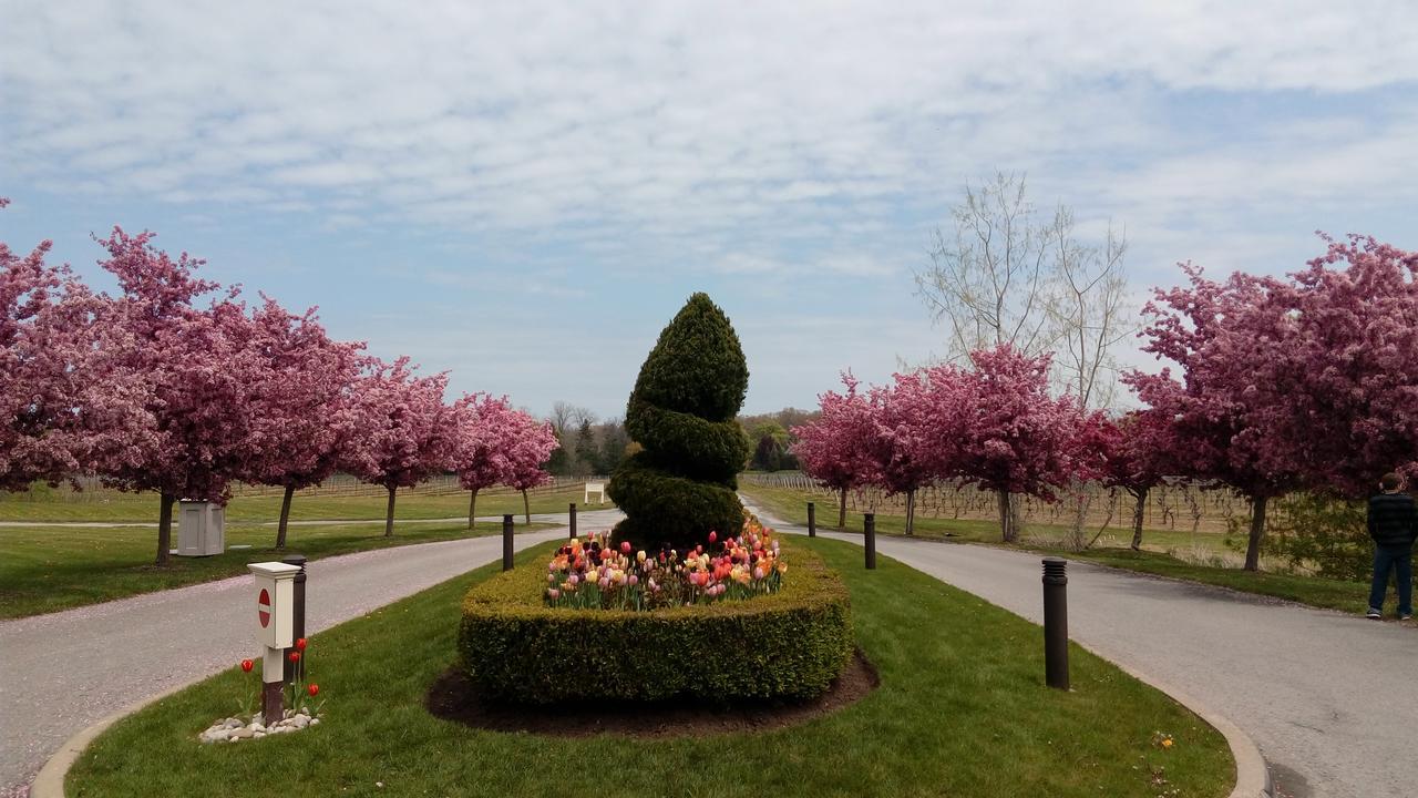 The White House Boutique B&B Niagara-on-the-Lake Luaran gambar