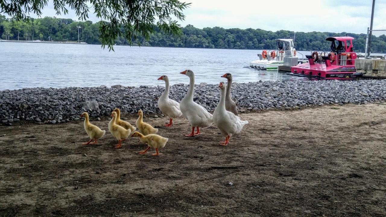 The White House Boutique B&B Niagara-on-the-Lake Luaran gambar